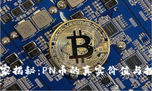 专家独家揭秘：PN币的真实价值与投资秘诀