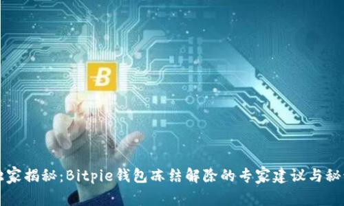独家揭秘：Bitpie钱包冻结解除的专家建议与秘诀