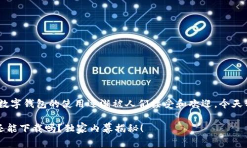 在这个快速发展的数字时代，数字钱包的使用逐渐被人们接受和欢迎，今天我们就聊聊B特派钱包的问题。

### 专家解密：B特派钱包还能下载吗？独家内幕揭秘！