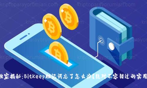 专家独家揭秘：BitKeep助记词忘了怎么办？绝对不容错过的实用秘笈！