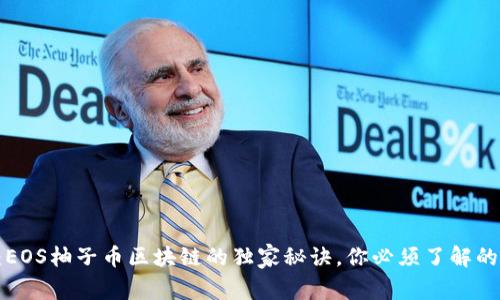 专家揭秘：EOS柚子币区块链的独家秘诀，你必须了解的前沿技术！