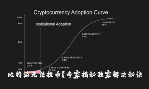比特派无法提币？专家揭秘独家解决秘诀
