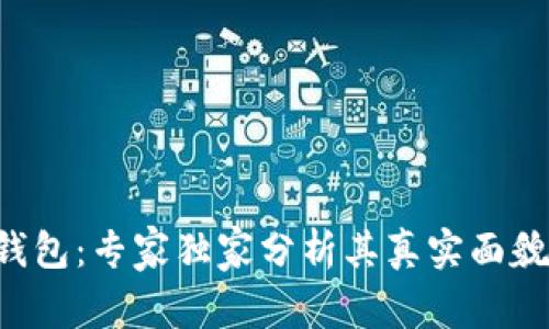 揭秘B特派钱包：专家独家分析其真实面貌与潜在骗局