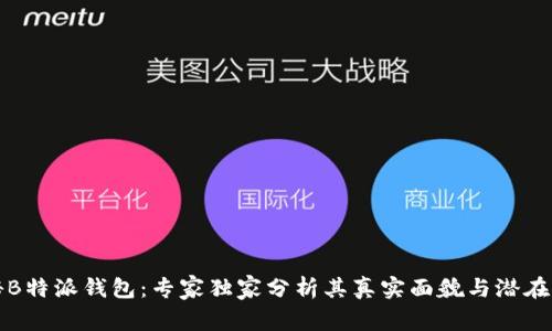 揭秘B特派钱包：专家独家分析其真实面貌与潜在骗局