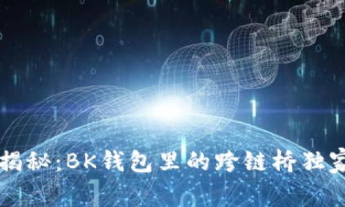 专家揭秘：BK钱包里的跨链桥独家秘诀