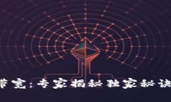 比特派能量与带宽：专家揭秘独家秘诀，助你轻