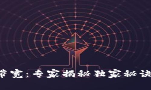 比特派能量与带宽：专家揭秘独家秘诀，助你轻松掌握