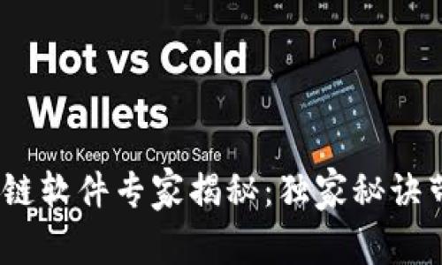 2023年最新区块链软件专家揭秘：独家秘诀带你探索未来科技