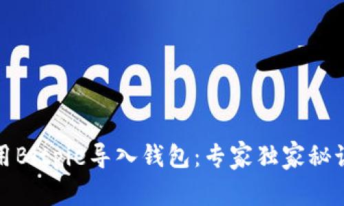 如何使用Bitpie导入钱包：专家独家秘诀大揭密