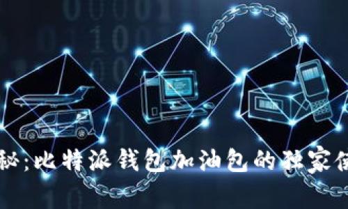 专家揭秘：比特派钱包加油包的独家使用秘诀