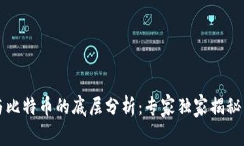 区块链与比特币的底层分析：专家独家揭秘其中秘诀