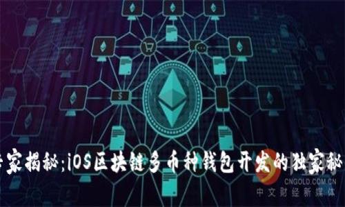 专家揭秘：iOS区块链多币种钱包开发的独家秘诀