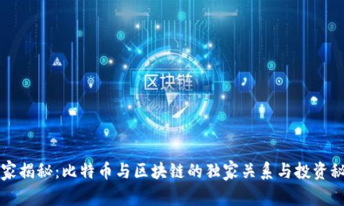专家揭秘：比特币与区块链的独家关系与投资秘诀