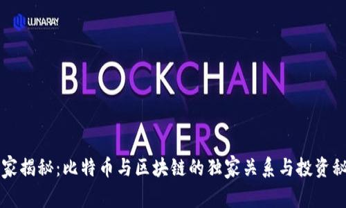 专家揭秘：比特币与区块链的独家关系与投资秘诀