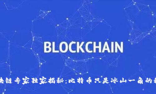 区块链专家独家揭秘：比特币只是冰山一角的秘诀