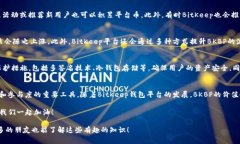 BitKeep 钱包平台币是什么？独家专家揭秘！BitKe
