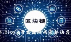 独家揭秘：Bitpie开发者的成长秘诀与未来展望