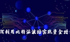 专家揭秘：如何利用比特派波场实现资金增值的