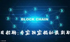 临港区块链项目招聘：专家独家揭秘最新职位和