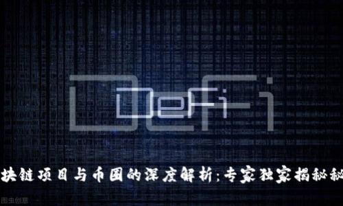 区块链项目与币圈的深度解析：专家独家揭秘秘诀