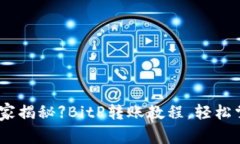 【独家专家揭秘】BitP转账教程，轻松掌握秘诀