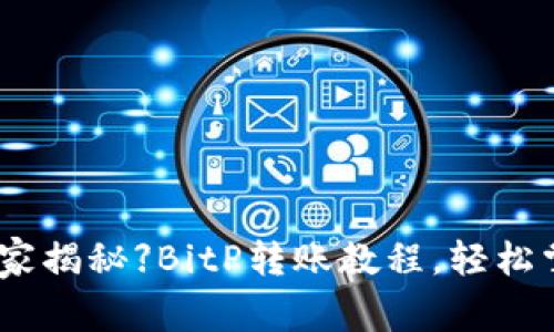 【独家专家揭秘】BitP转账教程，轻松掌握秘诀