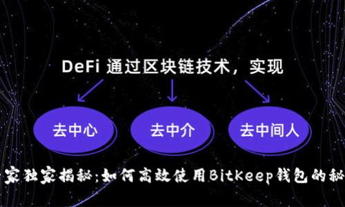 专家独家揭秘：如何高效使用BitKeep钱包的秘诀