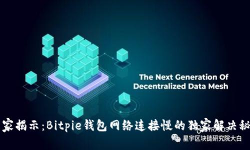 专家揭示：Bitpie钱包网络连接慢的独家解决秘诀
