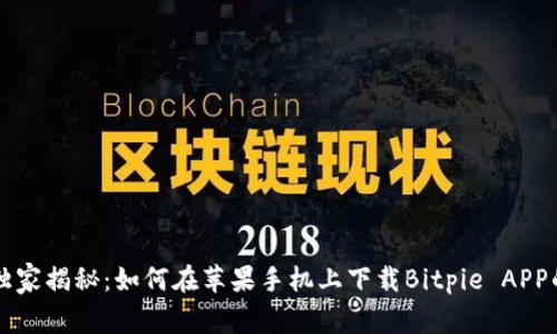 专家独家揭秘：如何在苹果手机上下载Bitpie APP的秘诀