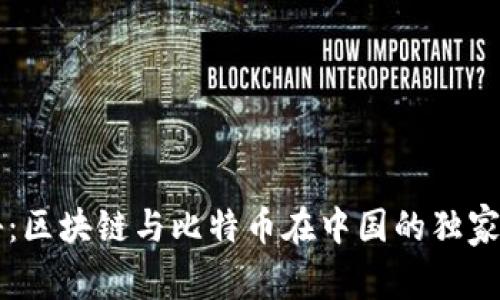 专家揭秘：区块链与比特币在中国的独家发展秘诀