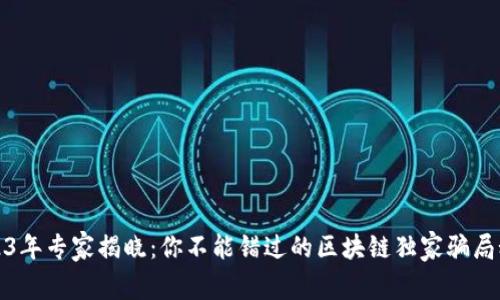 2023年专家揭晓：你不能错过的区块链独家骗局秘诀