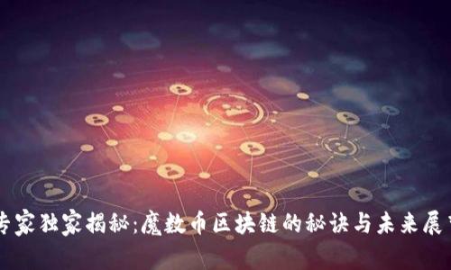 专家独家揭秘：魔数币区块链的秘诀与未来展望