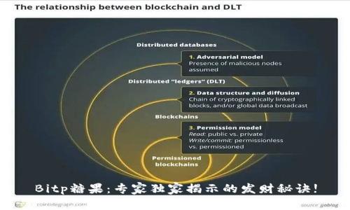 Bitp糖果：专家独家揭示的发财秘诀!