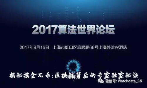 揭秘摸金兀币：区块链背后的专家独家秘诀