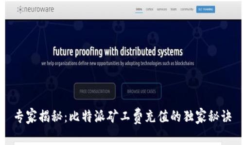 专家揭秘：比特派矿工费充值的独家秘诀