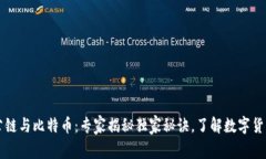 区块链公链与比特币：专家揭秘独家秘诀，了解