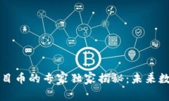 美国区块链项目币的专家独家揭秘：未来数字资