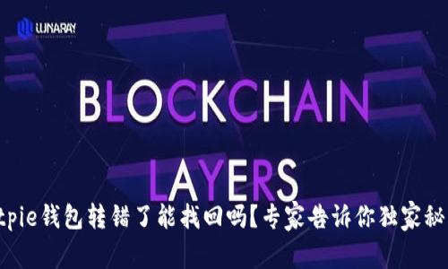 Bitpie钱包转错了能找回吗？专家告诉你独家秘诀！