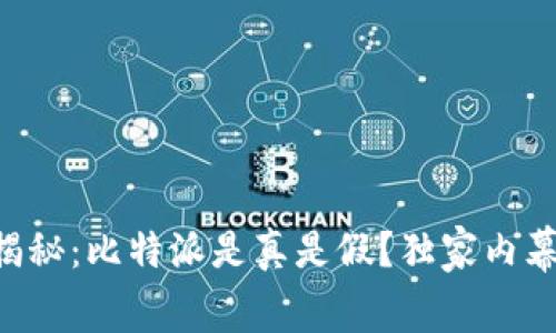 专家揭秘：比特派是真是假？独家内幕揭晓！