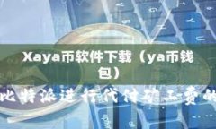 如何使用比特派进行代付矿工费的详细指南