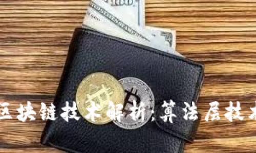 比特币与区块链技术解析：算法层技术全面解析