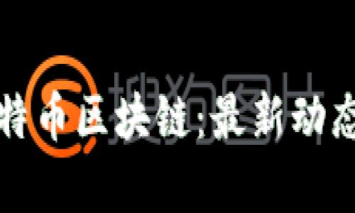 全面了解比特币区块链：最新动态与深度解析