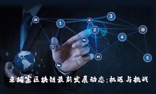 柬埔寨区块链最新发展动态：机遇与挑战