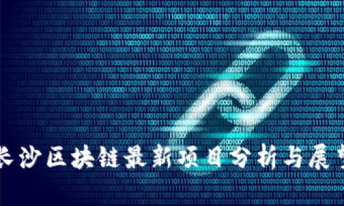 长沙区块链最新项目分析与展望