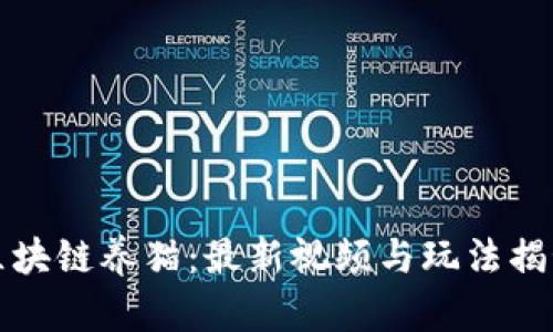 区块链养猫：最新视频与玩法揭秘