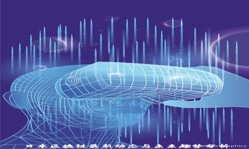 
日本区块链最新动态与未来趋势分析