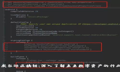 币图威尔逊区块链：深入了解未来数字资产的行业变革