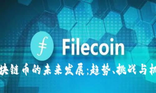 区块链币的未来发展：趋势、挑战与机遇