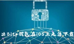 如何解决Bitp钱包在iOS上无法下载的问题