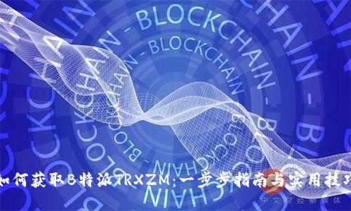 如何获取B特派TRXZM：一步步指南与实用技巧